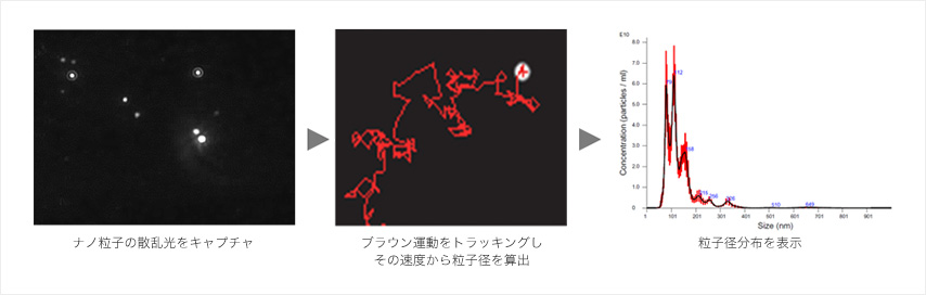ナノ粒子の散乱光をキャプチャ ブラウン運動をトラッキングし、その速度から粒子径を算出 粒子径分布を表示